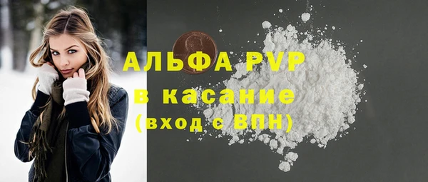 PSILOCYBIN Балахна